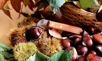 Castanhas - Facas e Truques para as cozinhar!